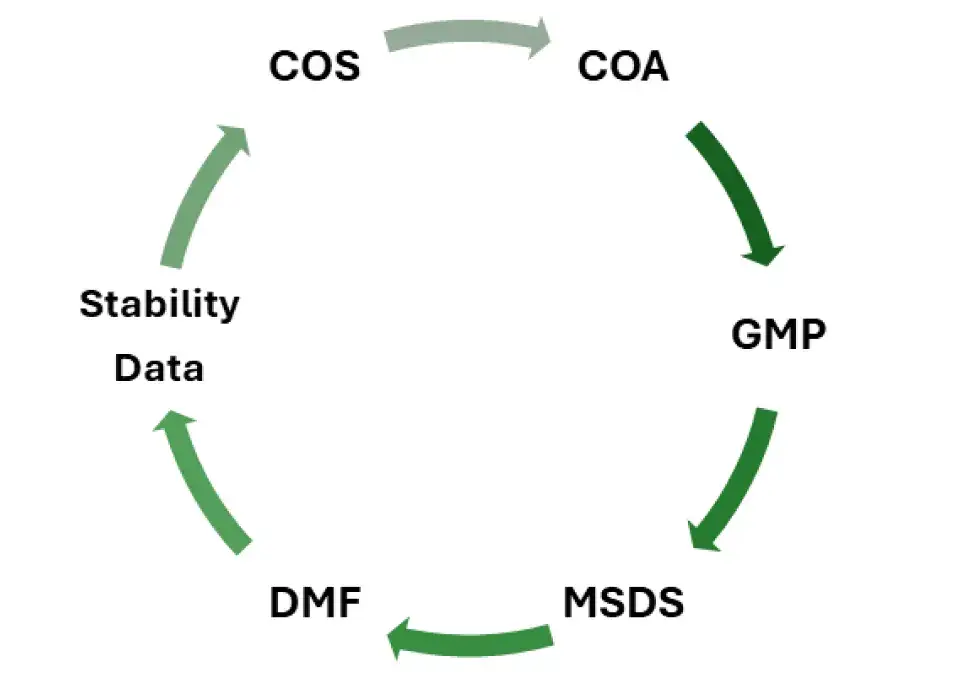 Documents We Provide