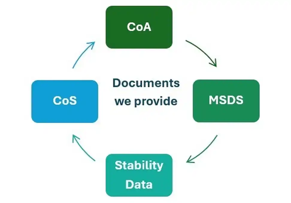 Documents We Provide